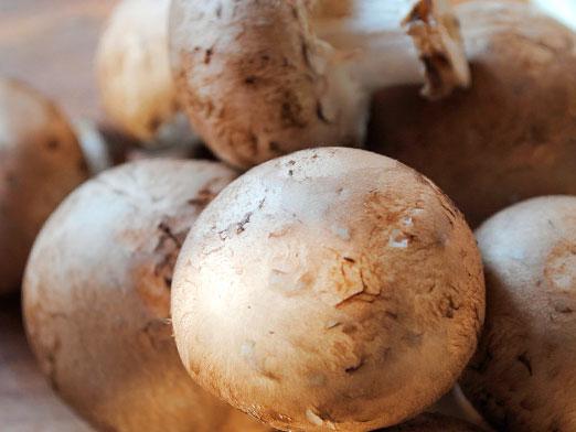 Mit készítsünk a champignons?