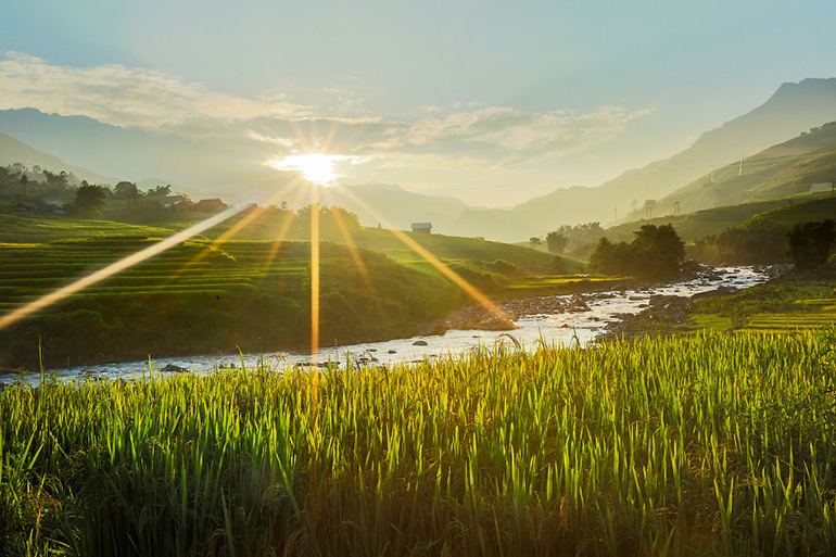 Vietnam háború nélkül