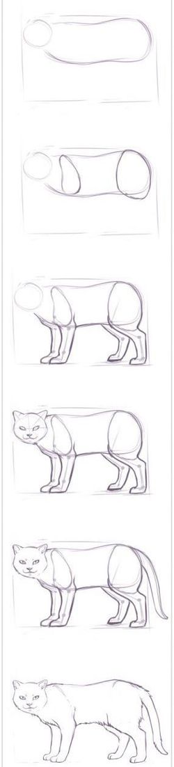 Hogyan rajzolj egy macskát?